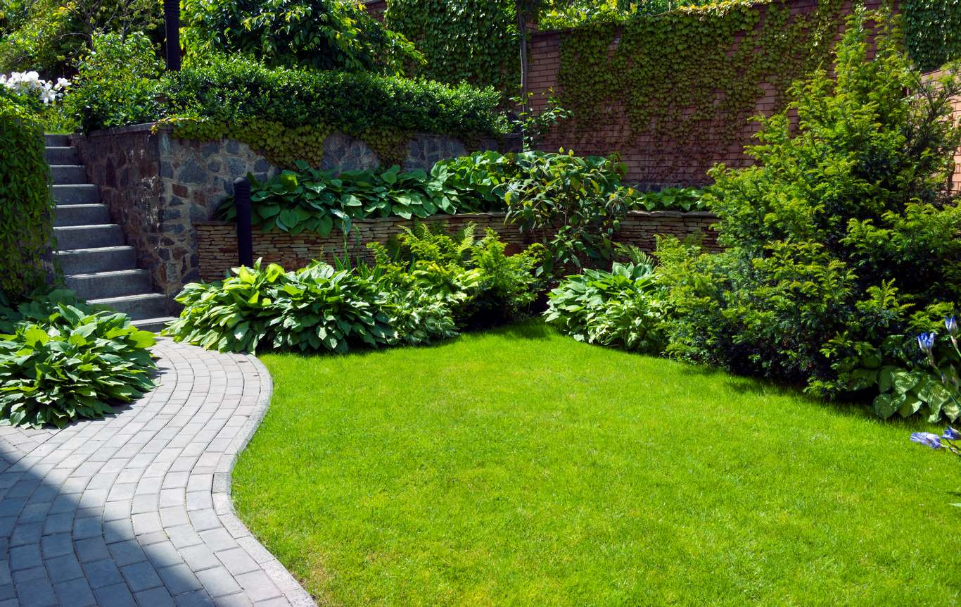 jardin jardin